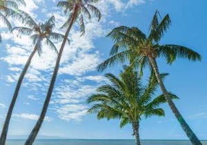 Castle at Moloka'i Shores