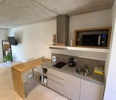 San Martin de los Andes Apartment | Álamos de los Andes Monoambiente 1J