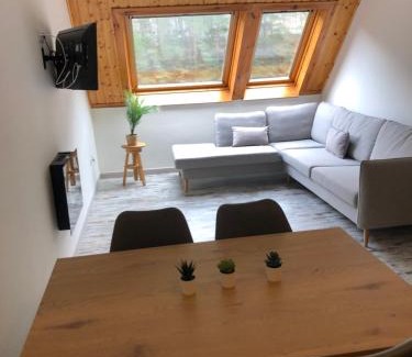 Canfranc-Estacion Apartment | Ático Europa, Canfranc estación