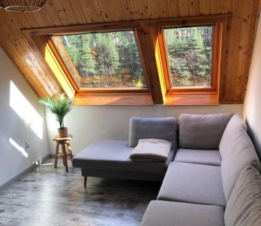 Canfranc-Estacion Apartment | Ático Europa, Canfranc estación