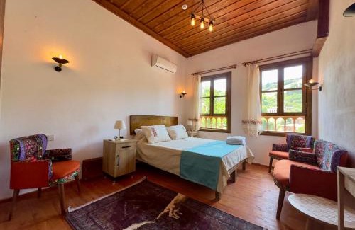 Sirince House | Çirkince Konak Şirince