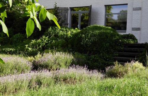 Hotton House | Ô lit de l'Ourthe