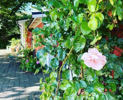 Borrby Bed & Breakfast | Östangård Apartments