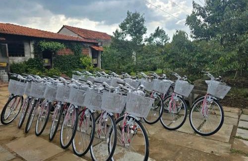 Long Ho House | Út Bình Homestay