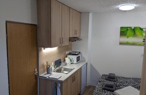 Brno-Lisen Apartment | Útulné studio u Mariánského údolí v Brně - Líšni
