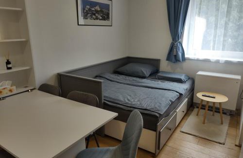 Nove Mesto nad Metuji Apartment | Útulný malý byt