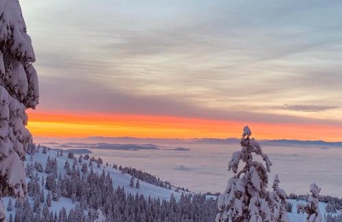 Ambroz pod Krvavcem Ski Chalet | Čudovita koča na samem, Gorenka