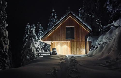 Ambroz pod Krvavcem Ski Chalet | Čudovita koča na samem, Gorenka
