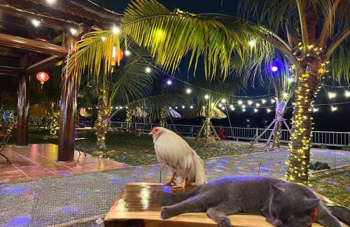 Tan Uyen Town Other | Điểm Hẹn restaurant, cắm trai, sở thú mini farm, câu cá giải trí