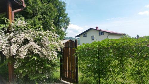 Swinna Apartment | Świnna - Brzozowy Zagajnik