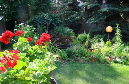 Vojvodina Villa | Šumski raj