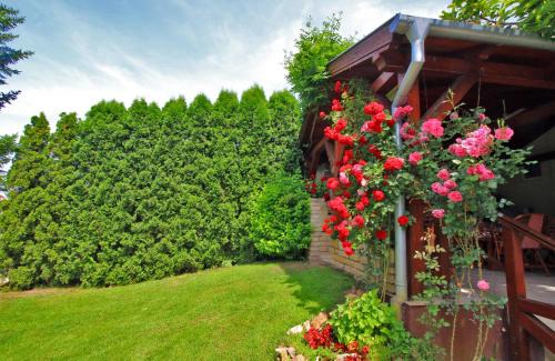 Vojvodina Villa | Šumski raj