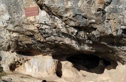 Salamis House | ΘΕΑΛΟΣ ΒΡΑΧΟΣ