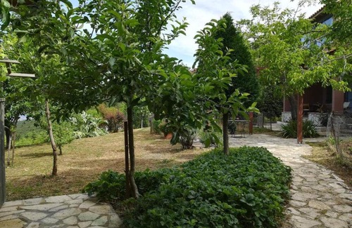 Amfikleia-Elateia House | ΠΟΛΎΔΡΟΣΟ ΠΑΡΝΑΣΣΟΎ