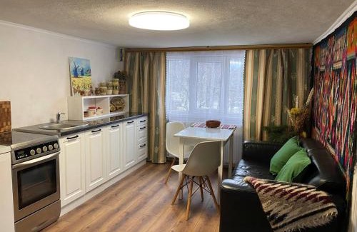 Snidavka House | Автентичний Лофт Апартамент в Карпатах