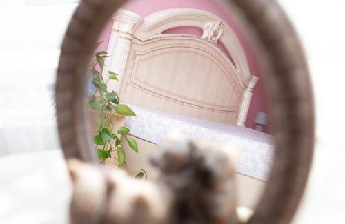 Yavory Apartment | Апартаменти на Сихові, Драгана 1й