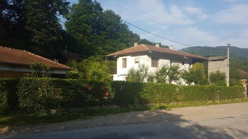 Ribaritsa House | Вила Керенски