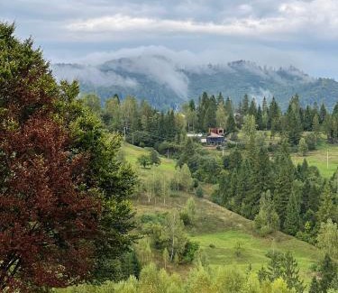 Slavske Villa | Вирій