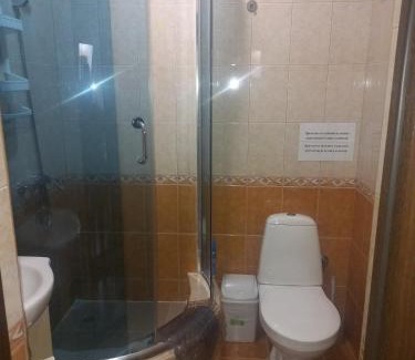 Skhidnytsya House | Вілла ,Астері'