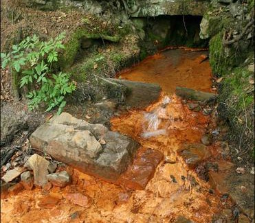 Soymy Apartment | Котедж біля річки