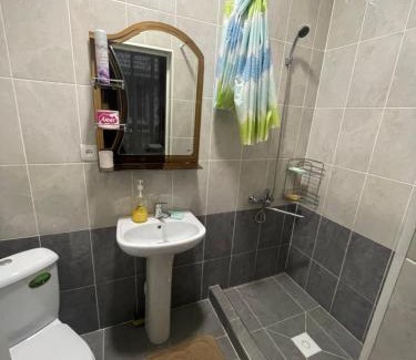 Chok-Tal Apartment | Коттедж на Иссык-Куле в ЦО Париж