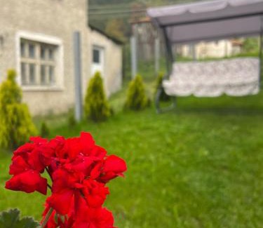 Borino House | Къща за гости "Домът на Краси"