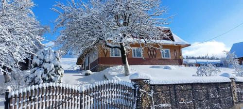 Plavya House | Незабудка