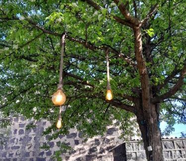 Aghavnadzor House | Огород