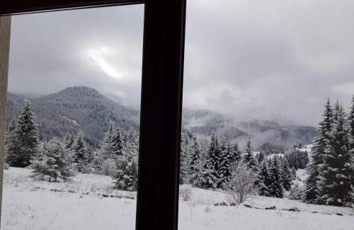 Pamporovo Apartment | Панорама Стойките Холидей