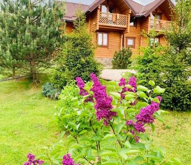 Plavya Hotel | Садиба Панська