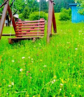 Snidavka House | Садиба «Пасіка» відпочинок в Карпатах