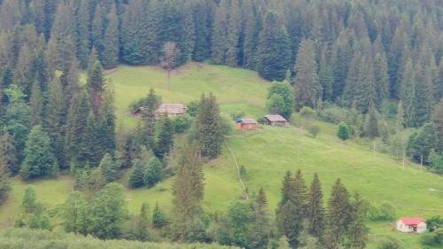 Snidavka House | Садиба «Пасіка» відпочинок в Карпатах