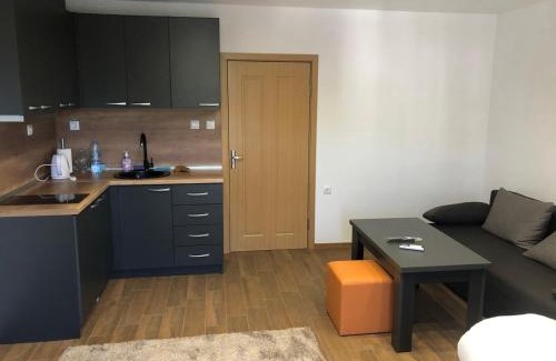 Sandanski Apartment | Студиа КРИСИ