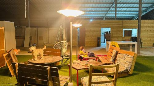 Yavne'el Other | חוות אדמה ושמיים יבנאל