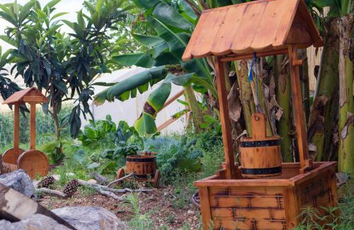 Yavne'el Other | חוות אדמה ושמיים יבנאל