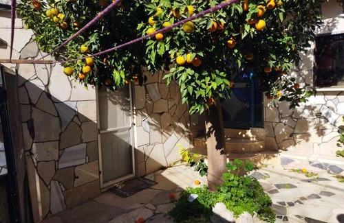 Safed House | צפת העיר שאין עוד כמוה בעולם