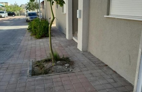 Be'er Ora Apartment | קסם במדבר באר אורה