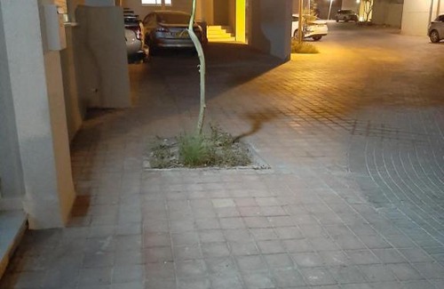 Be'er Ora Apartment | קסם במדבר באר אורה