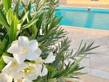 Banban Ski Chalet | استراحة مشكاة