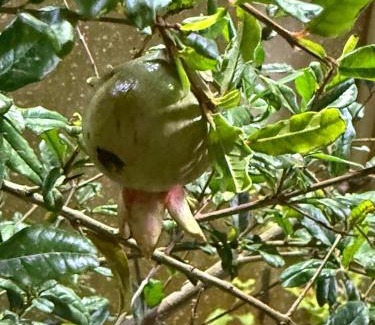 Huraymila Ski Chalet | شالية السحاب