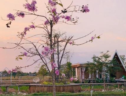 Ban Fang House | กลิ่นไอทุ่งโฮมสเตย์