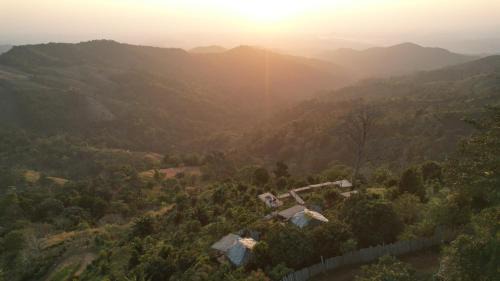 Mae Suai Other | กาแฟอาลูลูดอยล้าน