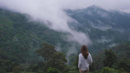 Mae Suai Other | กาแฟอาลูลูดอยล้าน