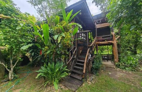 Mae On Cabin | ธารทอง ลอดจ์ Tharnthong Lodge