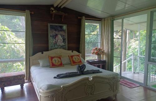 Mae On House | บาล์มมี่ไฮด์เอาท์ คาเฟ่&โฮมสเตย์