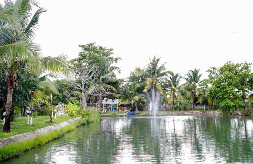 San Sai House | บ้านพักริมทุ่งนา