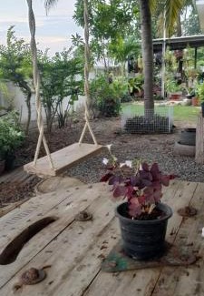 Ban Phai House | บ้านพักในสวนK&N2