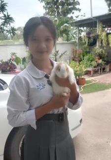 Ban Phai House | บ้านพักในสวนK&N2