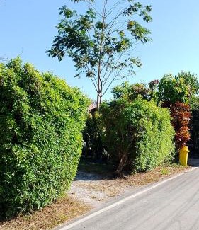 Khaem Son House | บ้านสโนว์เขาค้อ