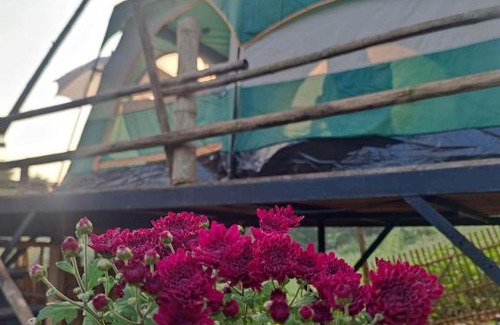 Mae On Other | สวนผักงามแคมป์ปิ้งที่พักแม่กำปอง